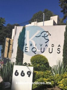 Departamento en Pb con Jardín Privado de 65 m² en Privada Equus.