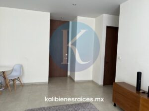 DR2604LG17